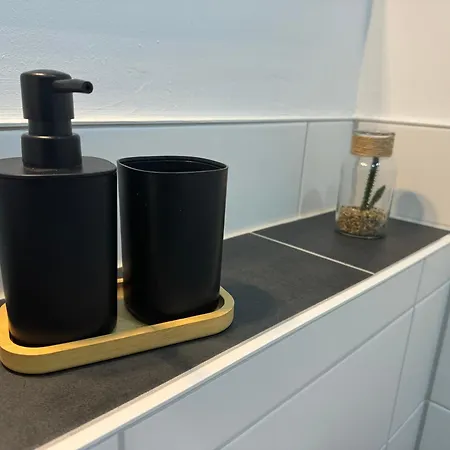 Apartmenthaus Messe Διαμέρισμα Ερφούρτη